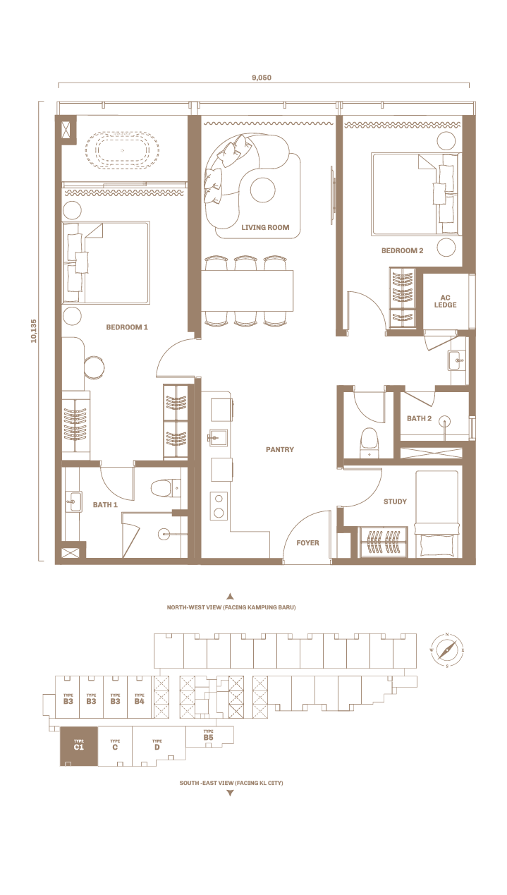 TYPE C1